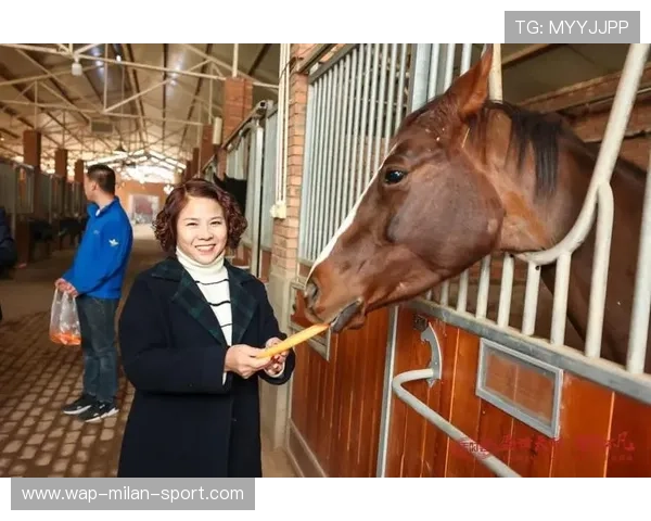马术疗愈课程被养老院采纳，跨界应用获好评